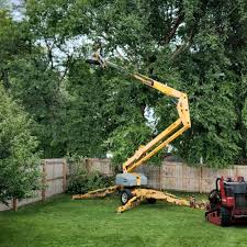 Best Tree Removal Services  in Durham, OR